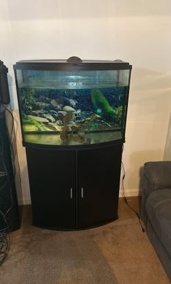 35 Gallons Tank With Tank Led And Lights