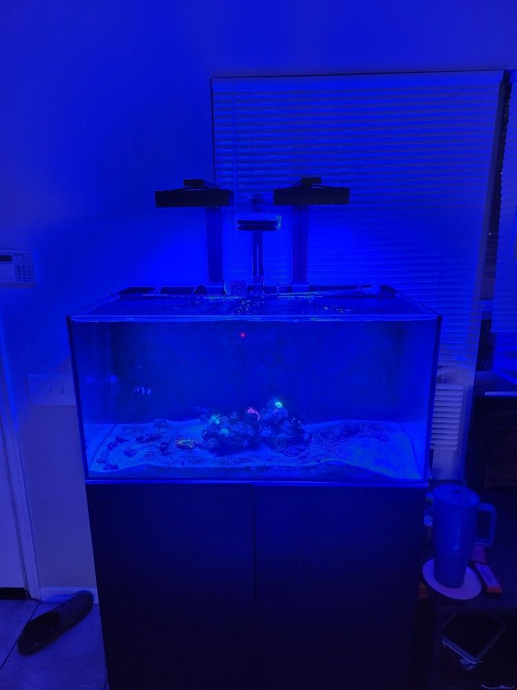 Waterbox 50.3