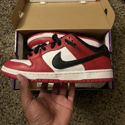 NIKE SB DUNK LOW PRO