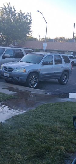 Mazda tribute
