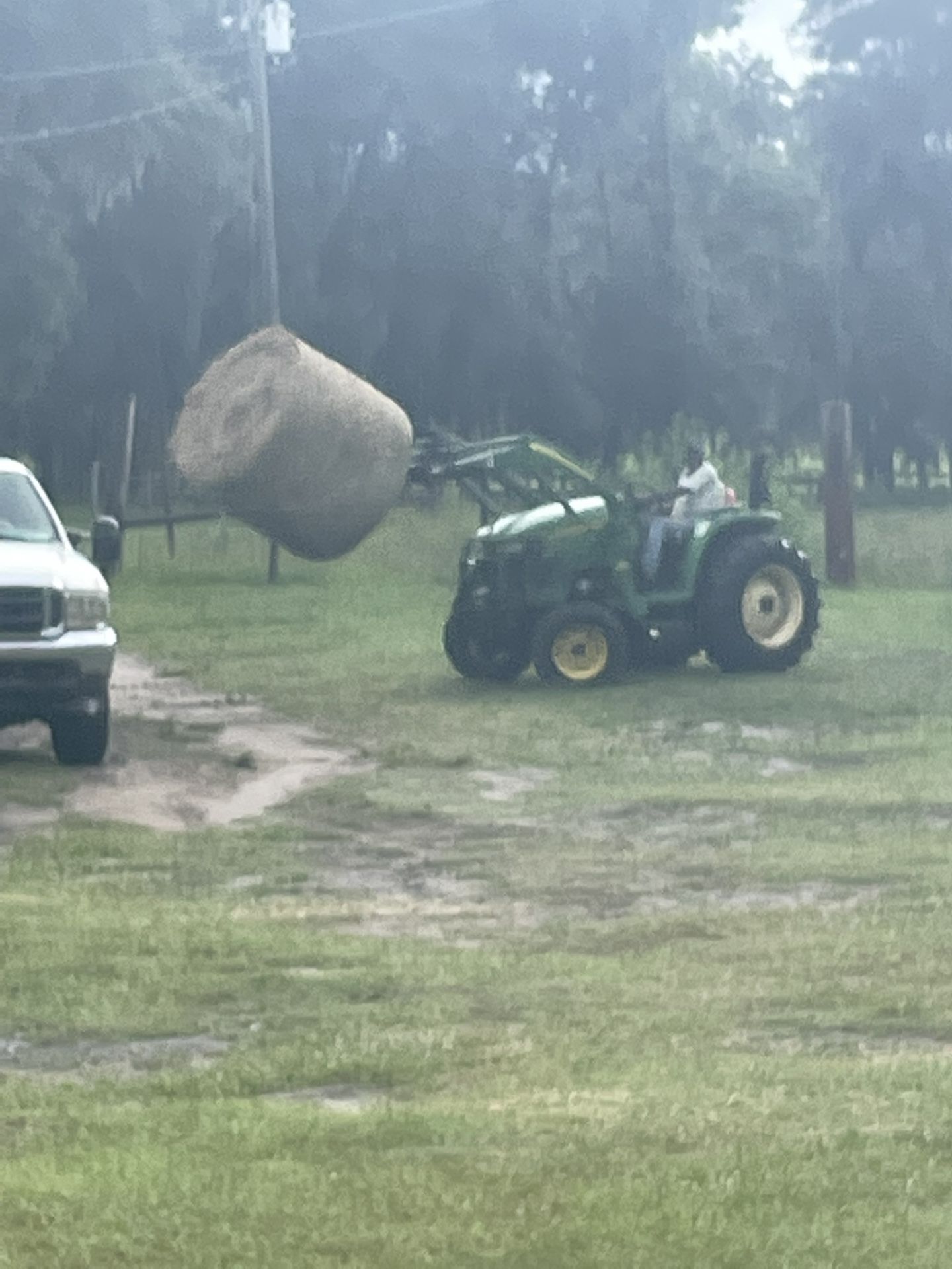 Hay