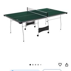 Ping Pong Table 