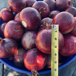 Fresh Pomegranates HUGE.  10 for 10$