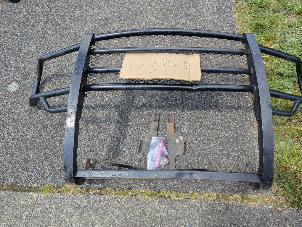 Brush Guard