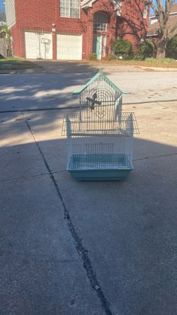 Bird Cage
