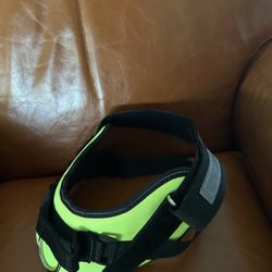 XL Dog Harness