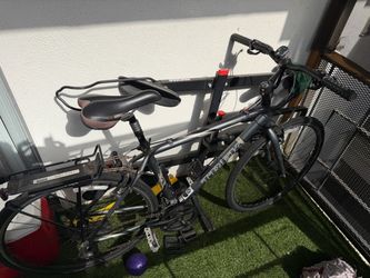 Trek bike