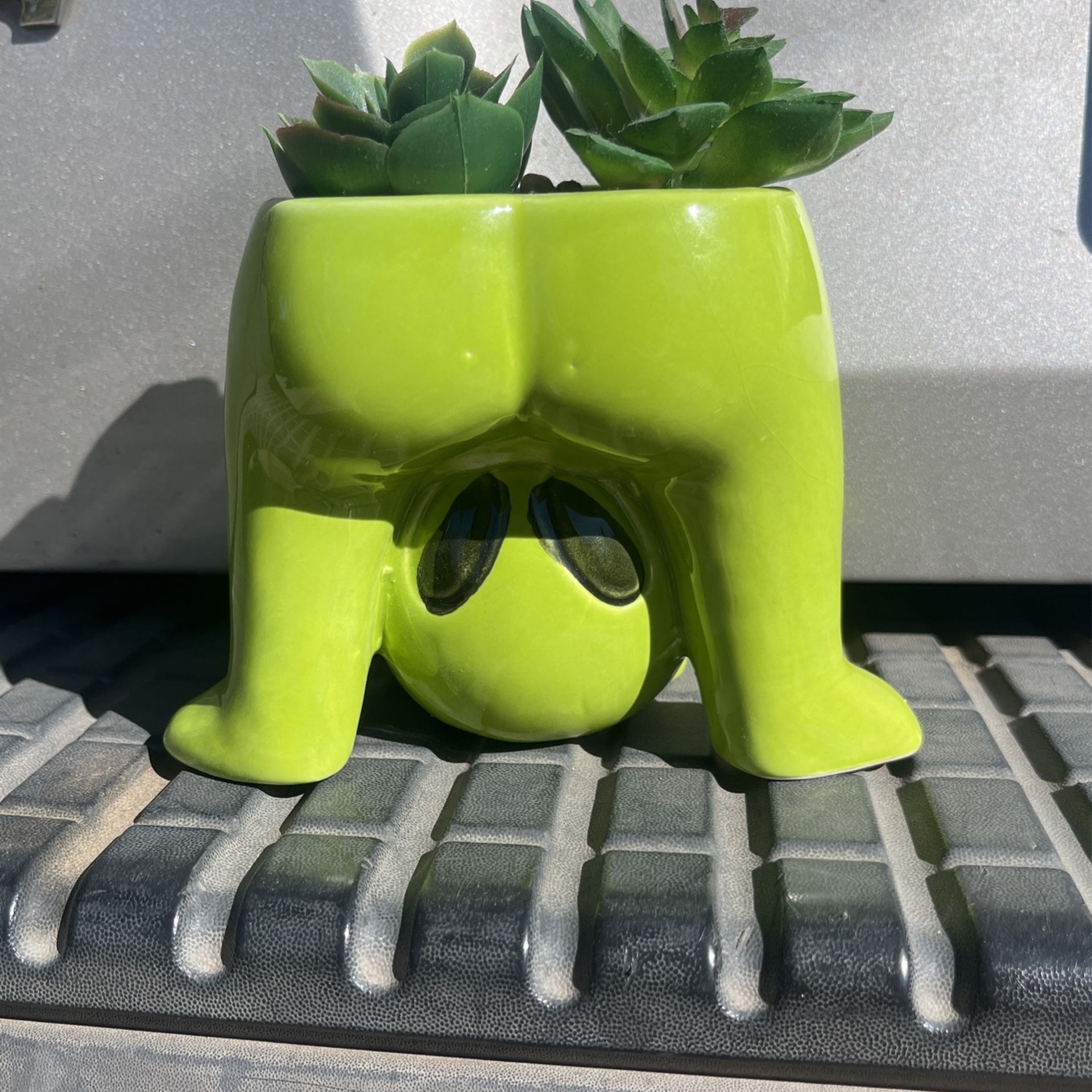 Alien Planter W/ Succulents