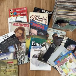 Vinyl Record Lot 100+ LPs 
