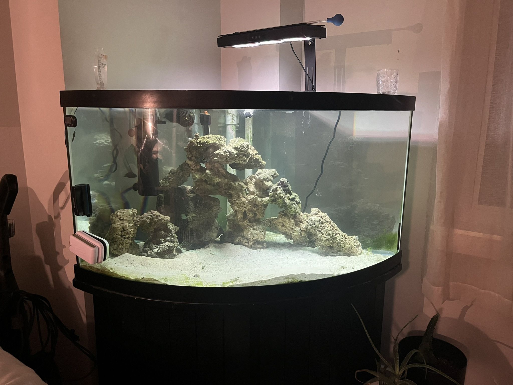 90 Gallon Reef Aquarium