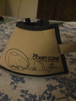 The Comfy Dog Conee