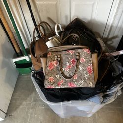 Box Or Individual New Purses