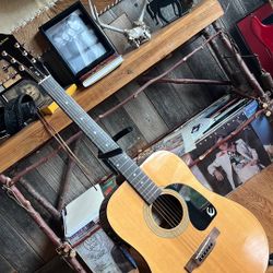 Epiphone On-board Fish man