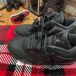 Black Cat 4s 