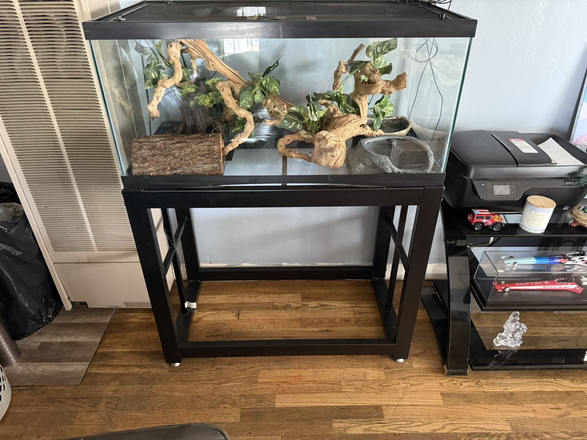 40 Gallon Tank