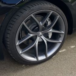 Tesla rims 