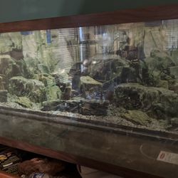 55 Gallon Fish Tank, Stand, & Light 
