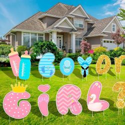 Gender Reveal