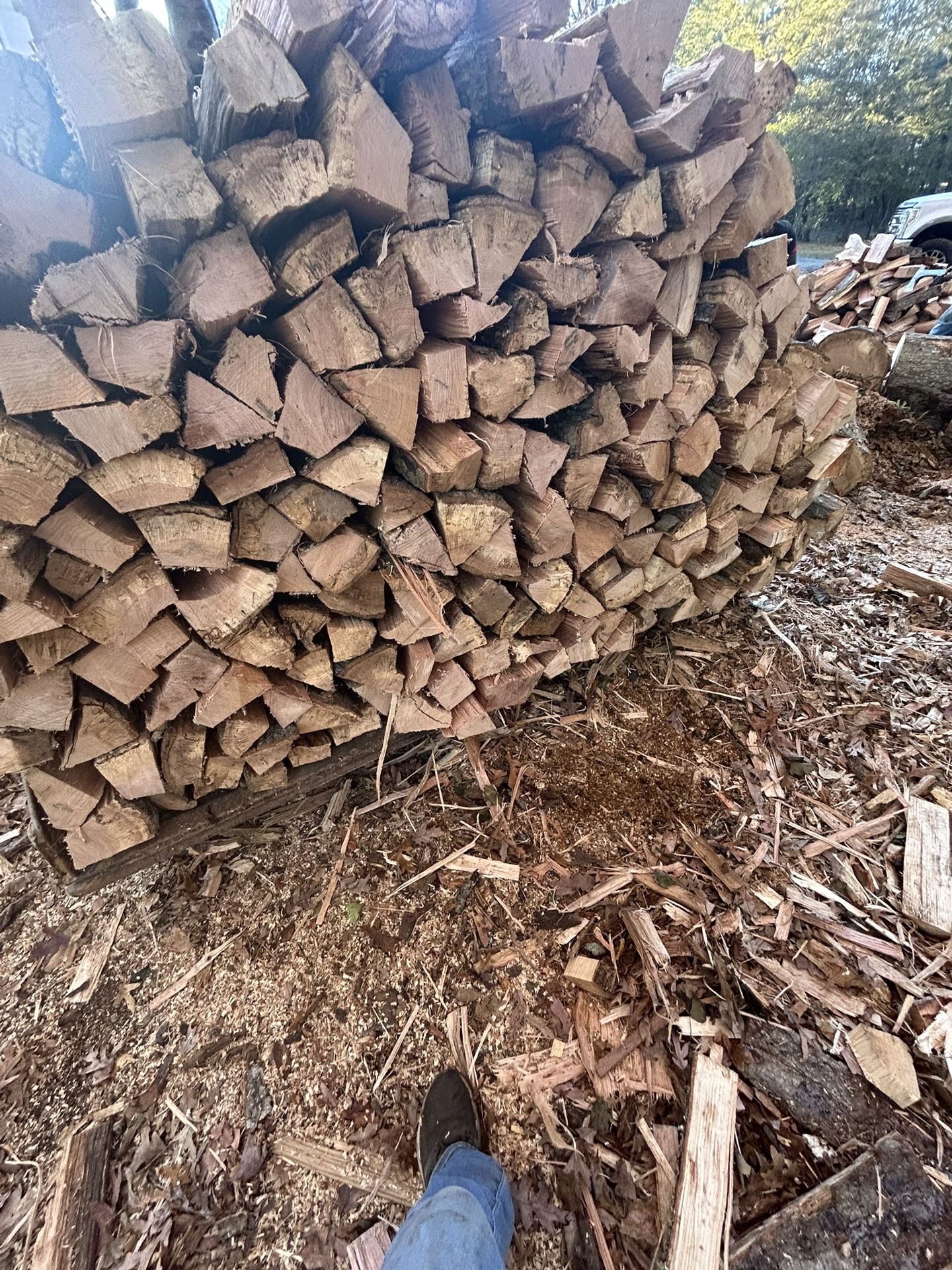 Firewood 