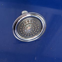 Moen Shower Head