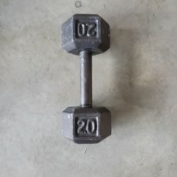 20 Lb Dumbell 