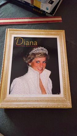 PRINCESS DIANA unseen archives Alison gauntlett