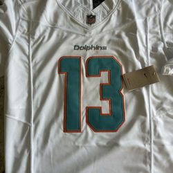 Dolphins Marino Medium 
