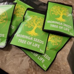 Moringa 