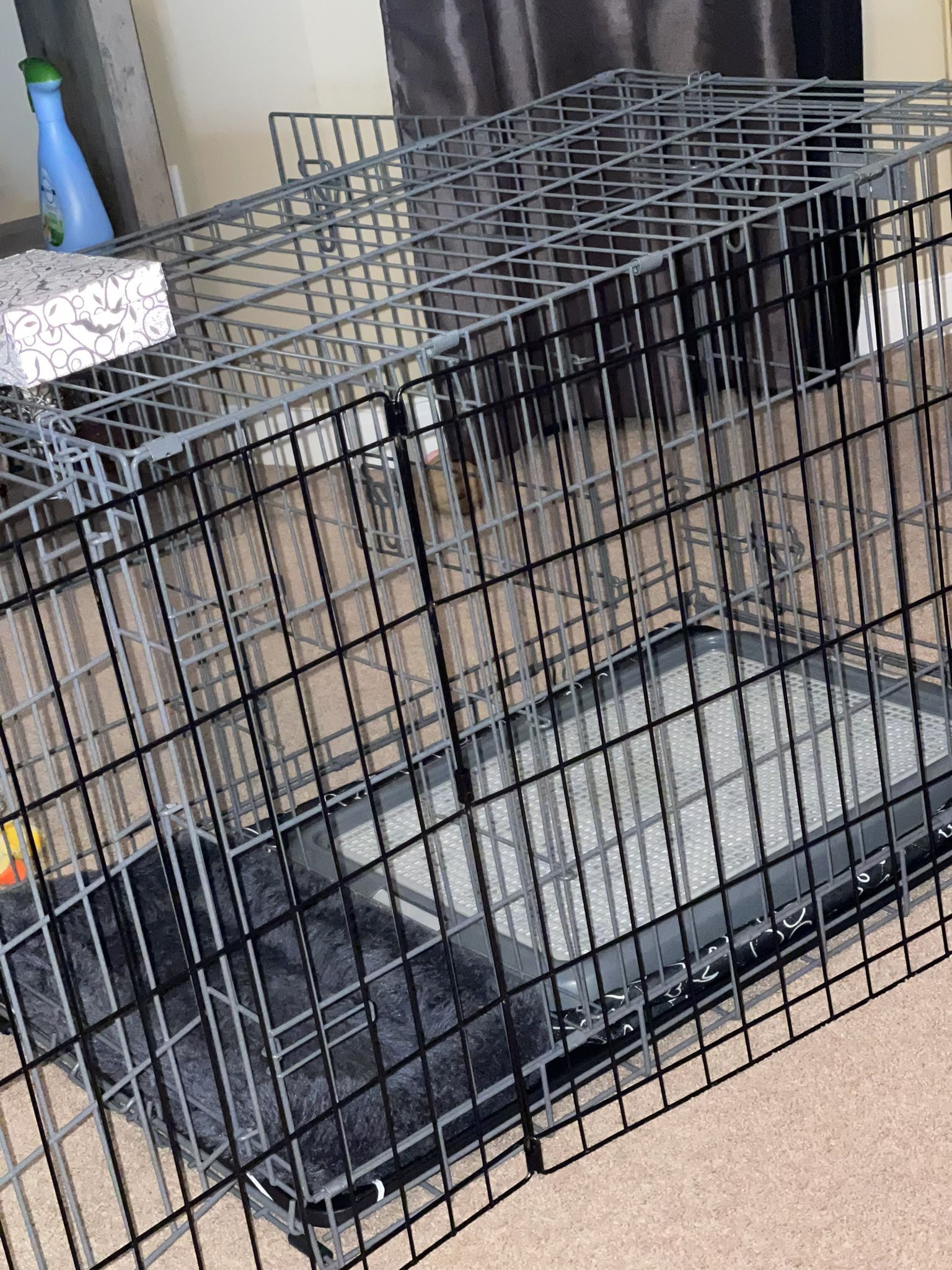 Potty Training Puppy Apartment(PTPA)