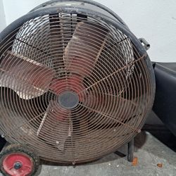 Fan