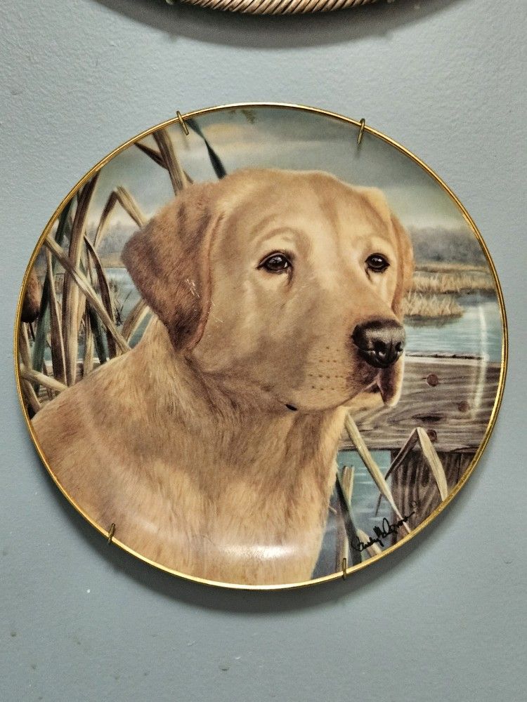 Vintage Ceramic Blonde Yellow Lab Labrador Dog Plate