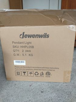 Pair Of Pendant Lights 