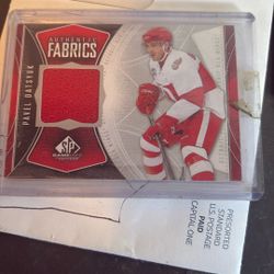 2009-10sp Fabrics Pavel Datsyuk Hi-jersey#af-pd Wings Hog