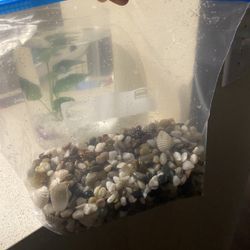 Fish Tank Rocks
