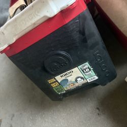 Igloo Cooler l