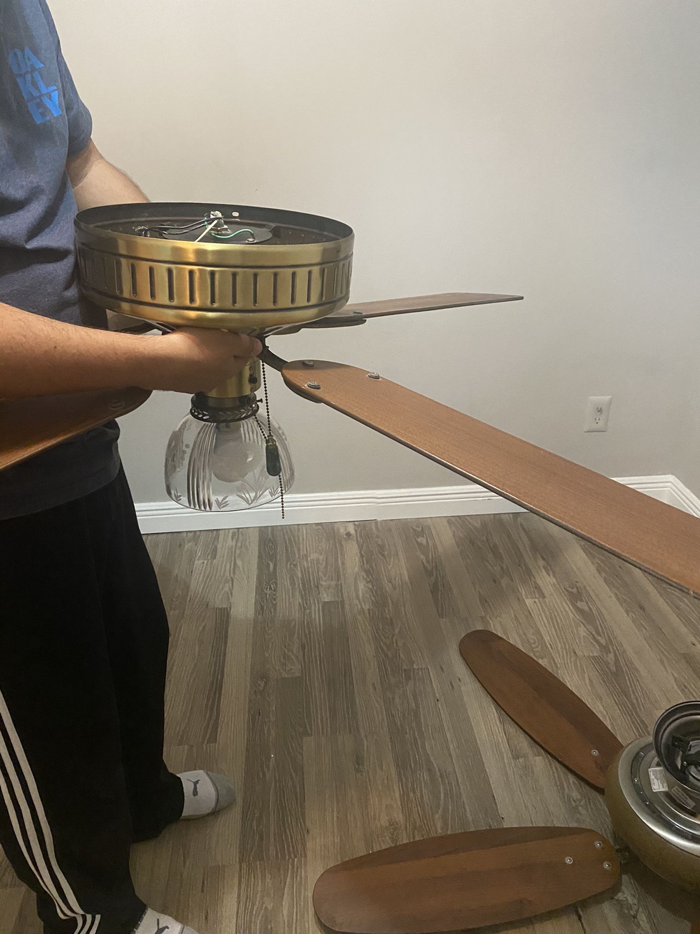 Ceiling fan with light