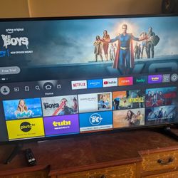 Flatscreen TV- insignia 