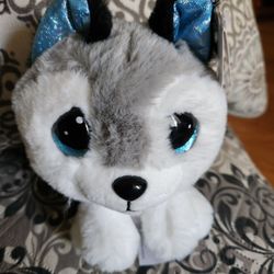 Cutie pet-tudies mishka the husky