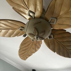 Beautiful Fan For Sale GREAT PRICE 