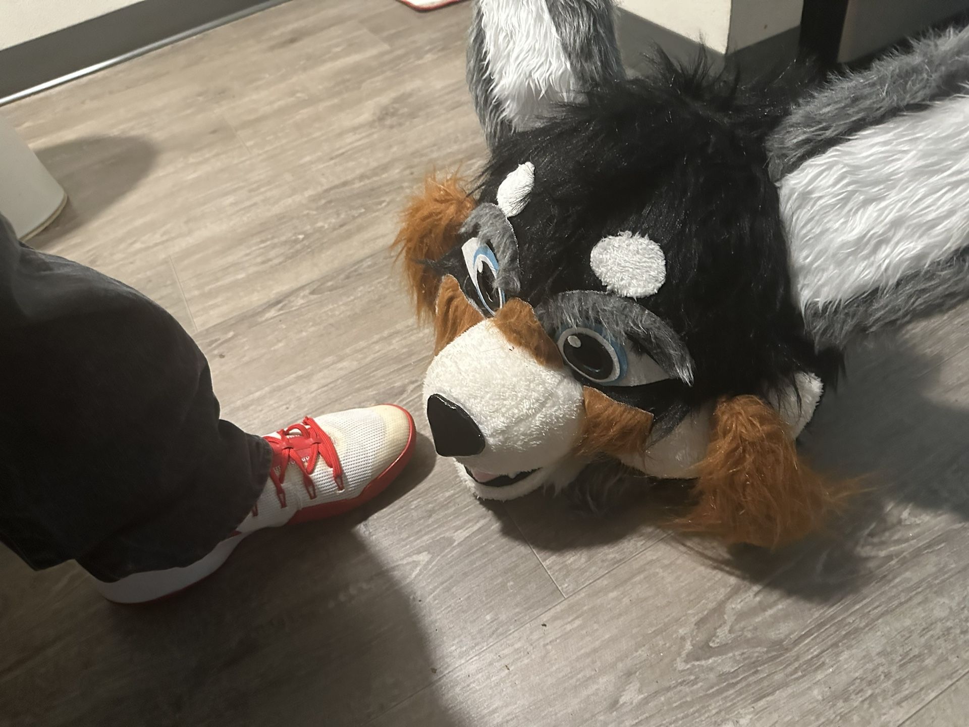 Husky Fursuit