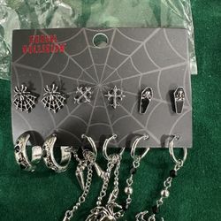 Earrings