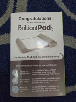Brilliant Pad self cleaning dog potty