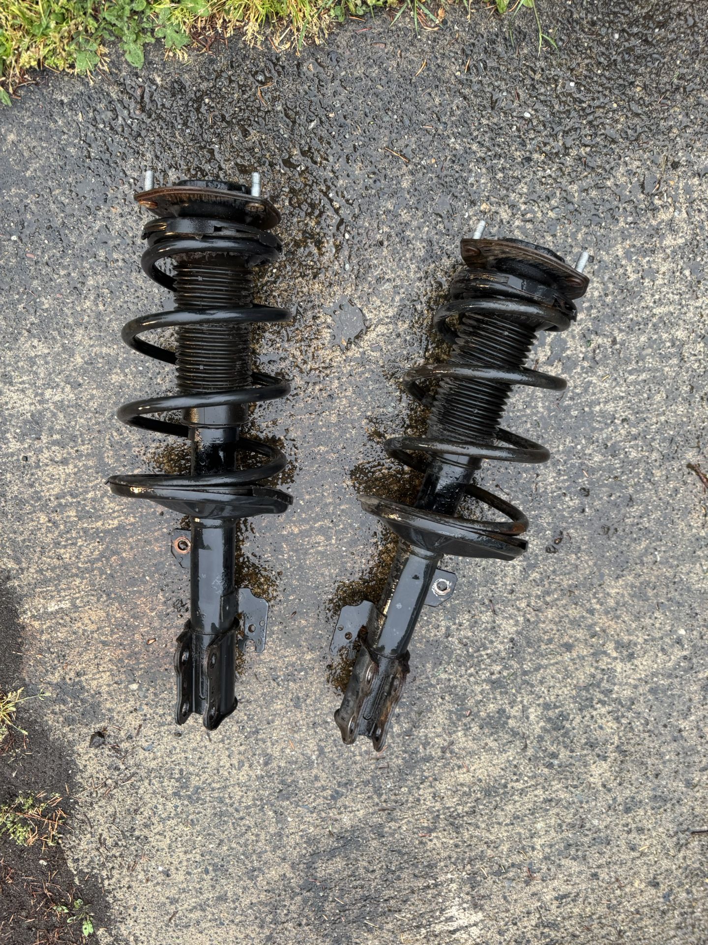 Toyota Camry Front Struts