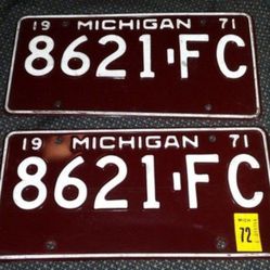 Set Of 2 1971 Michigan Plates