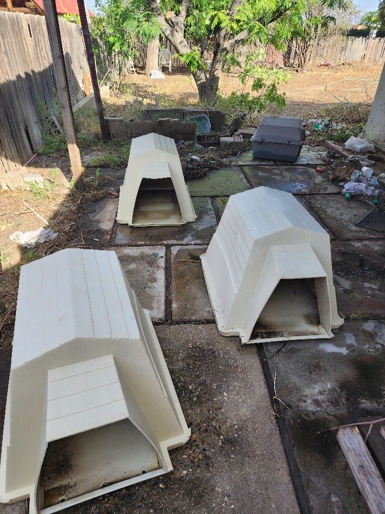 Dog House