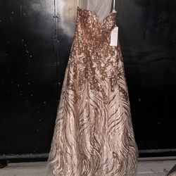 Quinceanera/Prom Dress