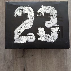 Jordan 23 Shoes. Worn Once.