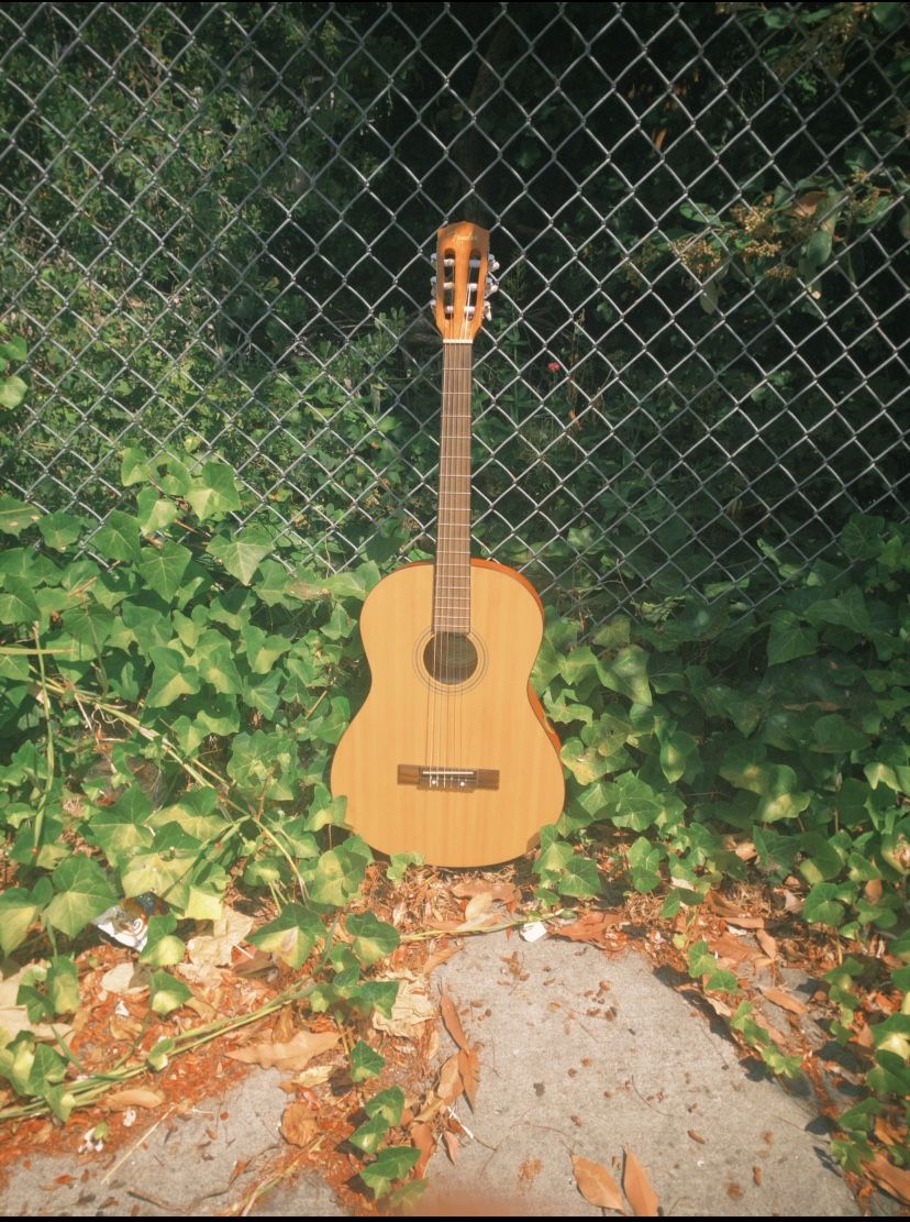 Temden Acoustic Guitar Model ESC105