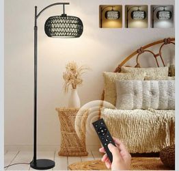 ZECOXOL Arc Floor Lamp with 3 Color Temperatures
