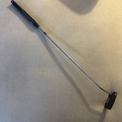 Edel Mallet Putter Back Weighted